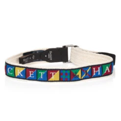 Hackett London Boys Colourful Logo Belt 5 Hackett London Boys Colourful Logo Belt -The Little Outfit Sales Store hackett boys colourful logo belt 359510 6b8b247dbde393df20c5e948a0adfe843ea6f9a6