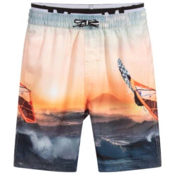 Molo Surfer Swim Shorts (UPF50+)