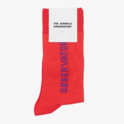 The Animals Observatory Red Cotton Logo Socks -The Little Outfit Sales Store the animals observatory red cotton logo socks 498077 bf5609be51a0d872e5cdbc809055c6673d76279d